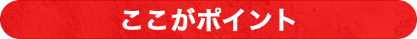 ここがポイント
