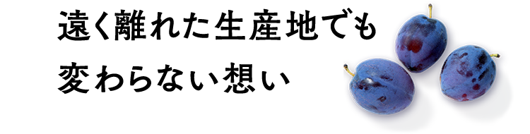 遠く離れた生産地でも変わらない想い