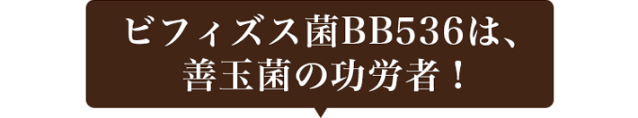 ビフィズス菌BB536は、善玉菌の功労者！