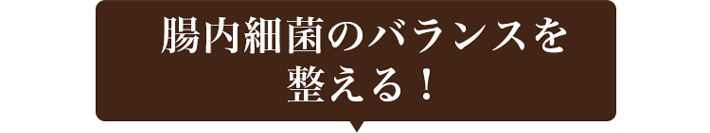 腸内細菌のバランスを整える！