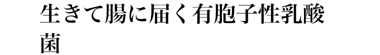 生きて腸に届く有胞子性乳酸菌