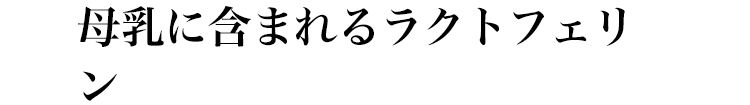 母乳に含まれるラクトフェリン