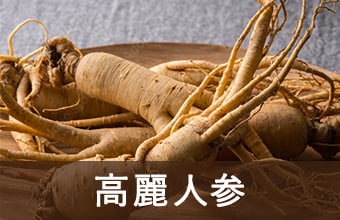 高麗人参