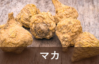 マカ