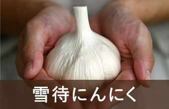 雪待ちにんにく