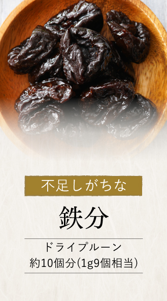 不足しがちな 鉄分 ドライプルーン 約10個分(1g9個相当)