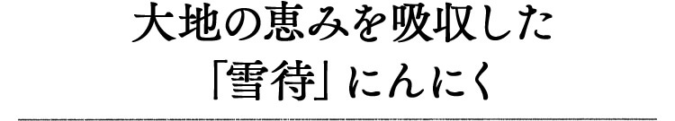 大地の恵みを吸収した「雪待」にんにく