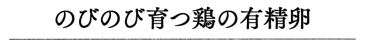 のびのび育つ鶏の有精卵