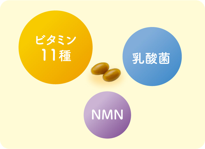 ビタミン11種、乳酸菌、NMN成分を配合