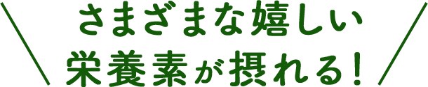 嬉しい栄養素が豊富に摂れる！