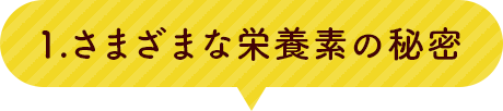 1.さまざまな栄養素の秘密