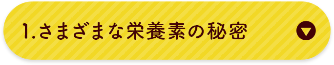 さまざまな栄養素の秘密