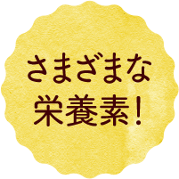 さまざまな栄養素！