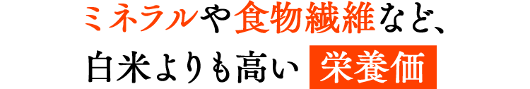 ミネラルや食物繊維など、白米よりも高い栄養価