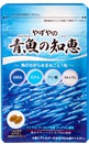 青魚の知恵