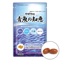 青魚の知恵